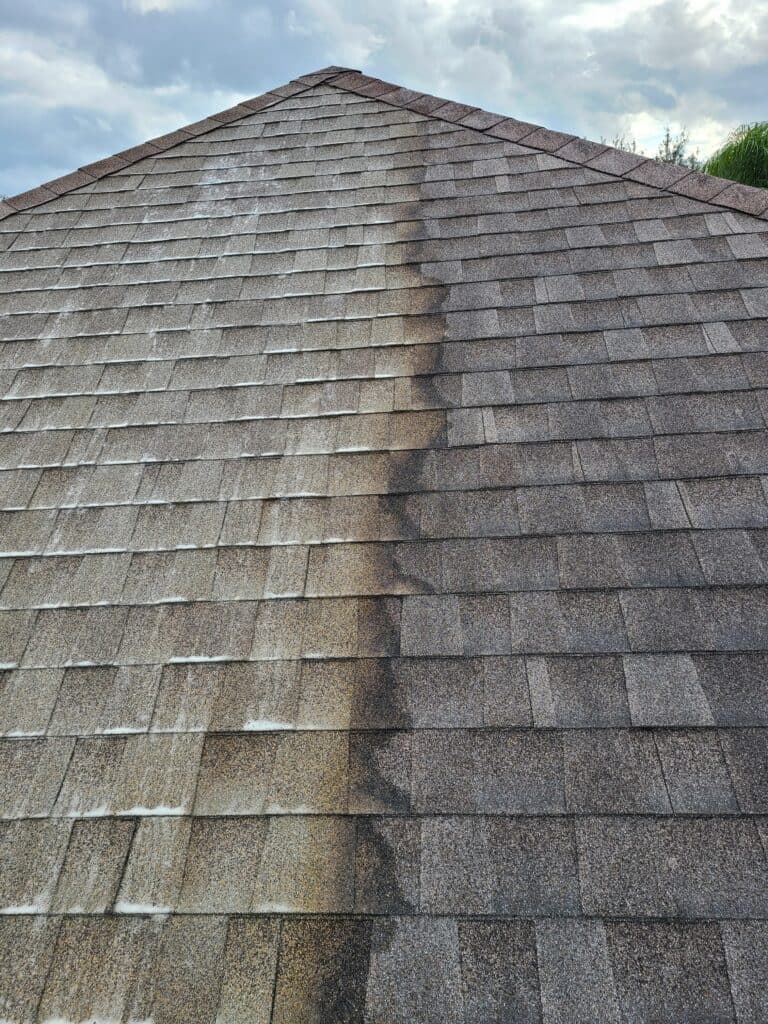 Roof Washing in Jenison, MI
