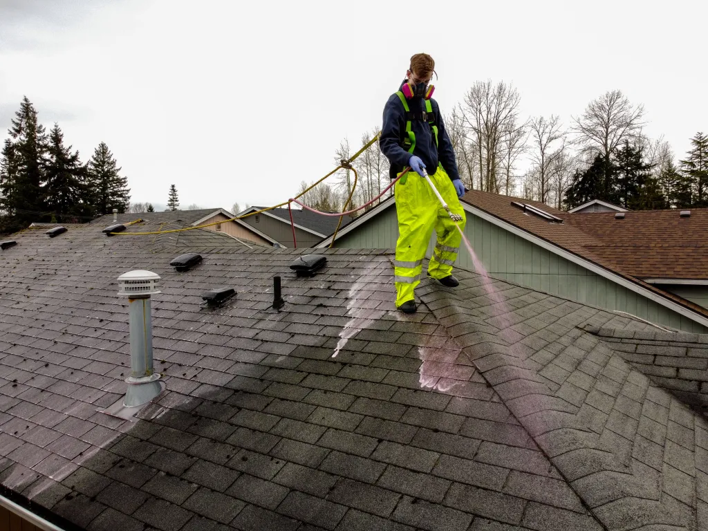 Roof Washing in Jenison project 2